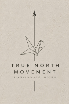 true north compass logo
